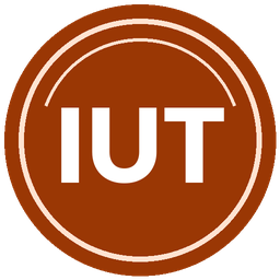 Logo IUT Zinder
